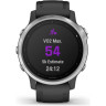 Часы GARMIN FENIX 6S BLACK SILVER WITH BLACK BAND 010-02159-01